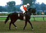 Ruffian45