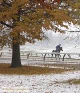 SaratogaPete