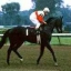 Ruffian45